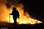 Foto: Wypalanie traw groźne dla ludzi, zwierząt i lasów