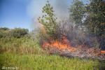 Foto: Spaliło się 4 hektary nad Narwią