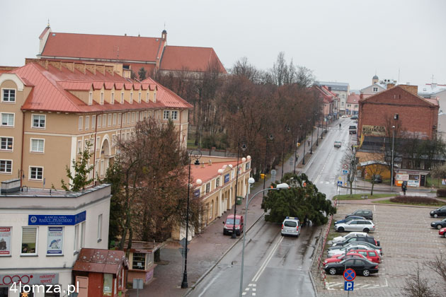 Transport świerka ulicą Giełczyńską