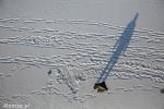 Foto: Miejsce skoku, widać ślady czołgania się po lodzie i ślady służb ratunkowych