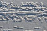 Foto: Ślady czołgania się po lodzie