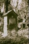 Foto: Najstarszy na cmentarzu