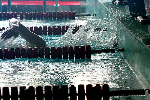  Foto: XI Mistrzostwa Łomży w pływaniu