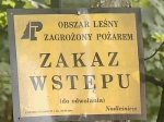 Foto: Katastrofalne zagrożenie pożarowe w lasach