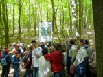 Foto: Przystanek na ścieżce przyrodniczej - Zespół Szkół Specjalnych w Łomży