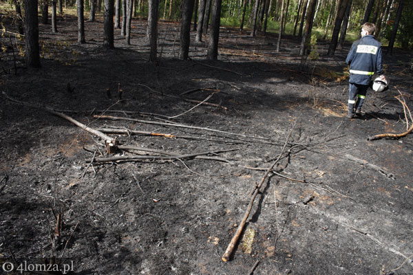po pożarze lasu pod Poniatem 2008-06-10