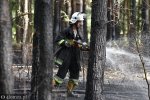 Foto: Pożar w lesie