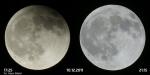 Foto: Końcowa faza zaćmienia Księżyca i Księżyc w pełni - Łomża 10.12.2011 fot. Adam Babiel