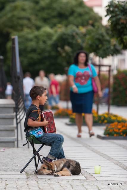 21.08.2012, Łomża, ożywiamy starówkę n/z chłopiec grający lub usiłujący grać na akordeonie ... a pies cierpliwie słucha