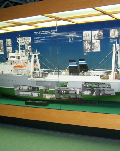 W Ozeanum i Muzeum Morza w Stralsundzie