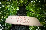 Foto: „Stop wycince drzew” na Sikorskiego