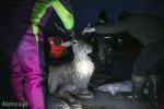Foto: Ze względu na bardzo śliski lód, ratownicy decydują, że zwiążą zwierzę i przeciągną go po lodzie na ziemię