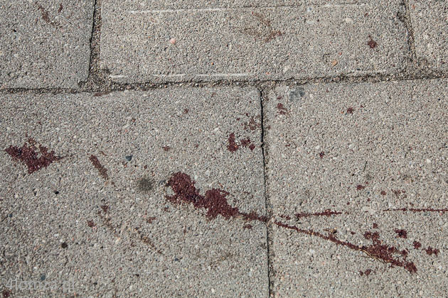Zakrwawiony chodnik w miejscu w którym doszło do ataku nożownika