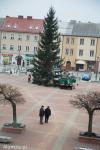 Foto: Łomżyńska choinka stroi się na święta