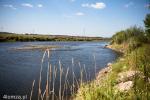 Foto: 19.08.2015 Narew koło wsi Rakowo Boginie, liczne łachy na rekordowo płytkiej rzece