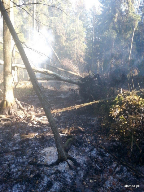 Pożar podpowierzchniowy torfu w Puszczy Augustowskiej. Fot. RDLP w Białymstoku