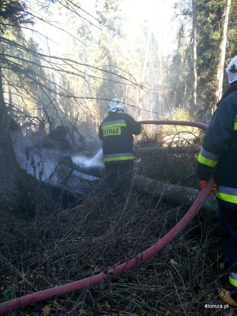 Pożar podpowierzchniowy torfu w Puszczy Augustowskiej. Fot. RDLP w Białymstoku