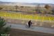 Żółte barierki ochronne wzdłuż ścieżki rowerowej ze Starej Łomży do Siemienia