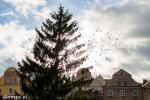 Foto: Stary Rynek