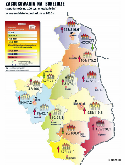 Zachorowania na boreliozę w 2016 roku. (źródło: WSSE Białystok)