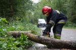 Foto: Strażacy usuwają powalone drzewo na Grobli Jednaczewskiej