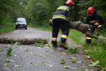 Foto: Strażacy usuwają powalone drzewo na Grobli Jednaczewskiej