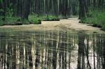 Foto: Biebrzański Park Narodowy przypomina o Światowy...