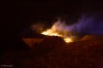 Foto: Pożar suchych traw na fortach