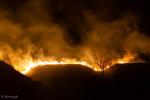 Foto: Pożar suchych traw na fortach