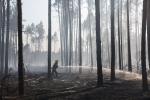 Foto: Pożar w Siwkach/Cieciorach