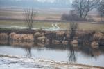 Foto: Kryzys klimatyczny zagraża przyrodzie Doliny Narwi