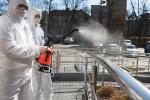 Strażacy OSP Podgórze dezynfekują balustrady przed Urzędem Gminy w Łomży