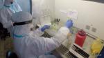 Foto: W Łomży wykonywane są już testy na koronawirusa