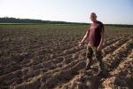 Foto: Leszek Makowski na swoim polu pokazuje miejsca, gdzie dziki wyżarły ziemniaki