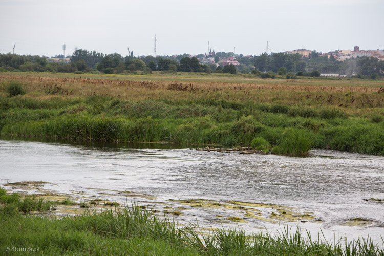 Próg wodny w Czarnocinie, w tle Łomża