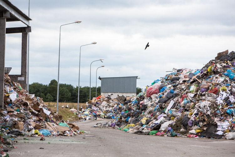 Wysypisko śmieci w Czartorii
