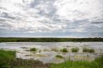 Foto: Rozszerza się susza hydrologiczna