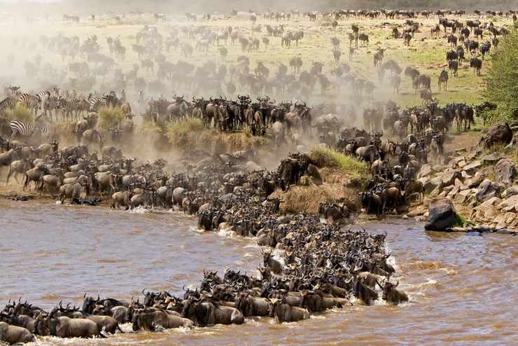 2. Afryka z biurem CARTER - Wielka Migracja nad rzeką Mara, Tanzania..jpg