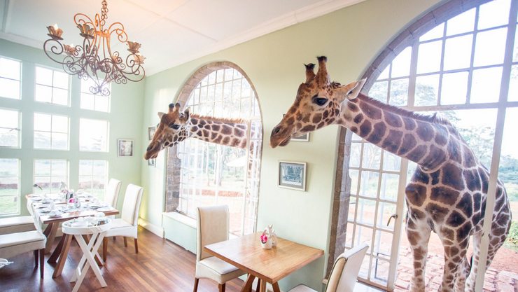 3. Ekskluzywne Hotele w Kenii - Giraffe Manor.jpg
