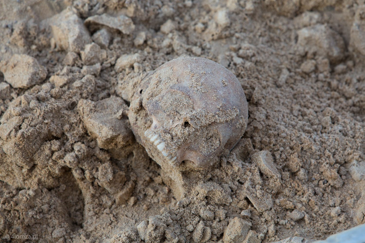 Foto: Drogowcy wykopali ludzkie szczątki