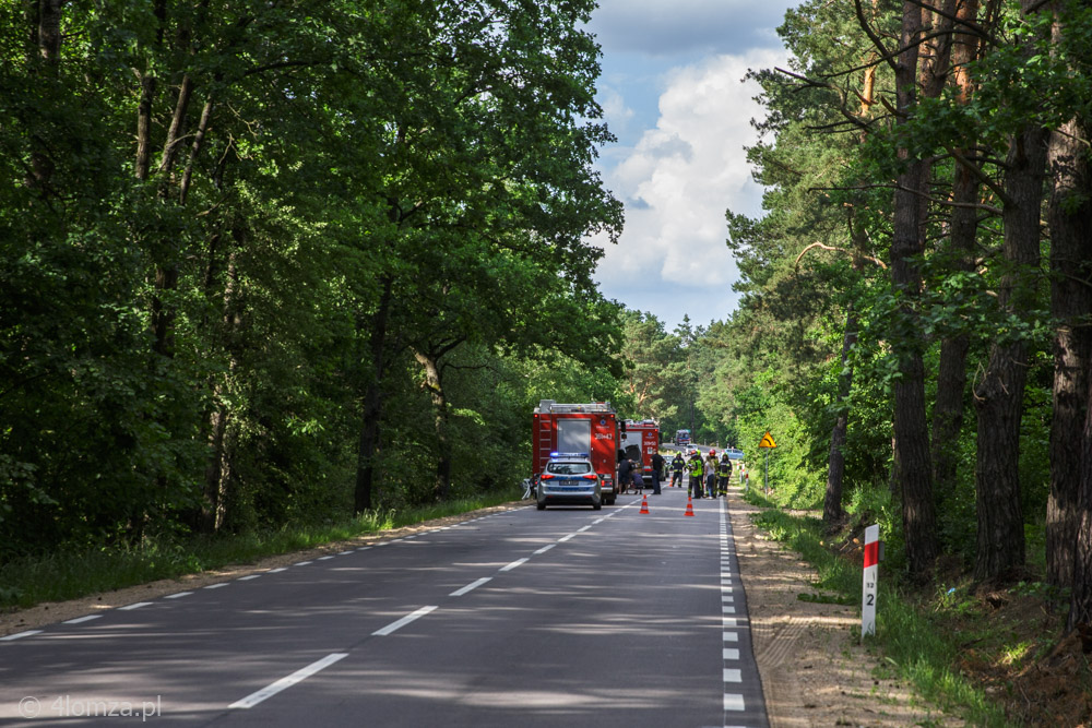 Zderzenie z łosiem pod Nowogrodem