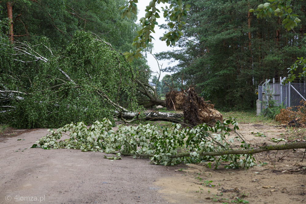 Popiołki