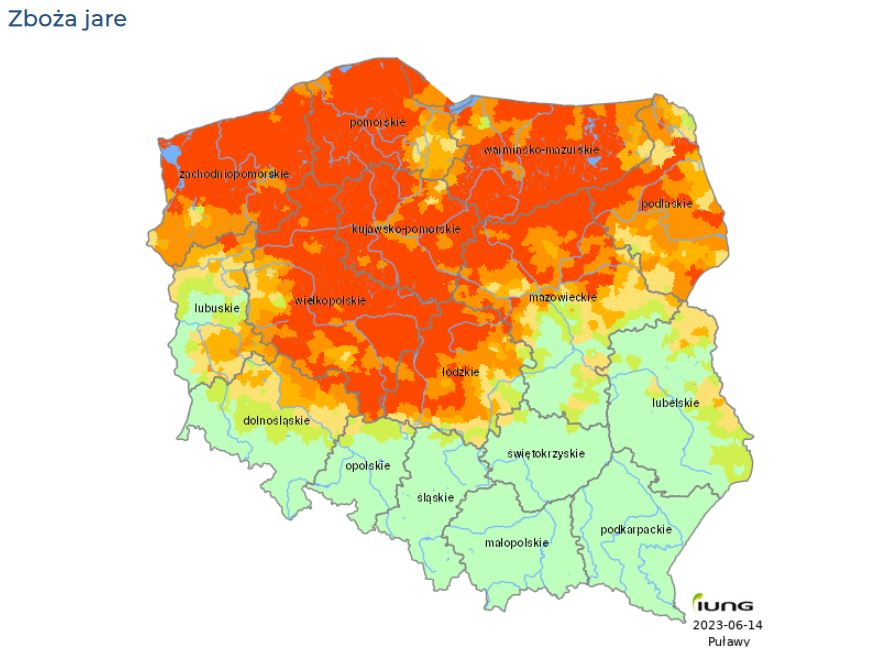 Główne zdjęcie