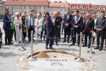 Foto: Stary Rynek z poświęceniem czeka na 3 maszty z ...