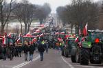 Foto: Liczny protest rolników w Marianowie