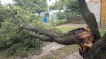 Foto: Wiatr łamał konary drzew