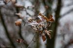 Foto: Wietrzny i chłodny tydzień w pogodzie