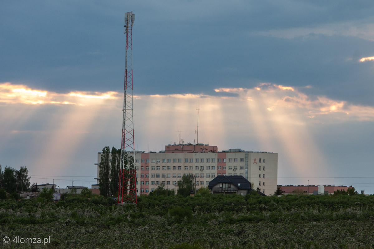 Główne zdjęcie